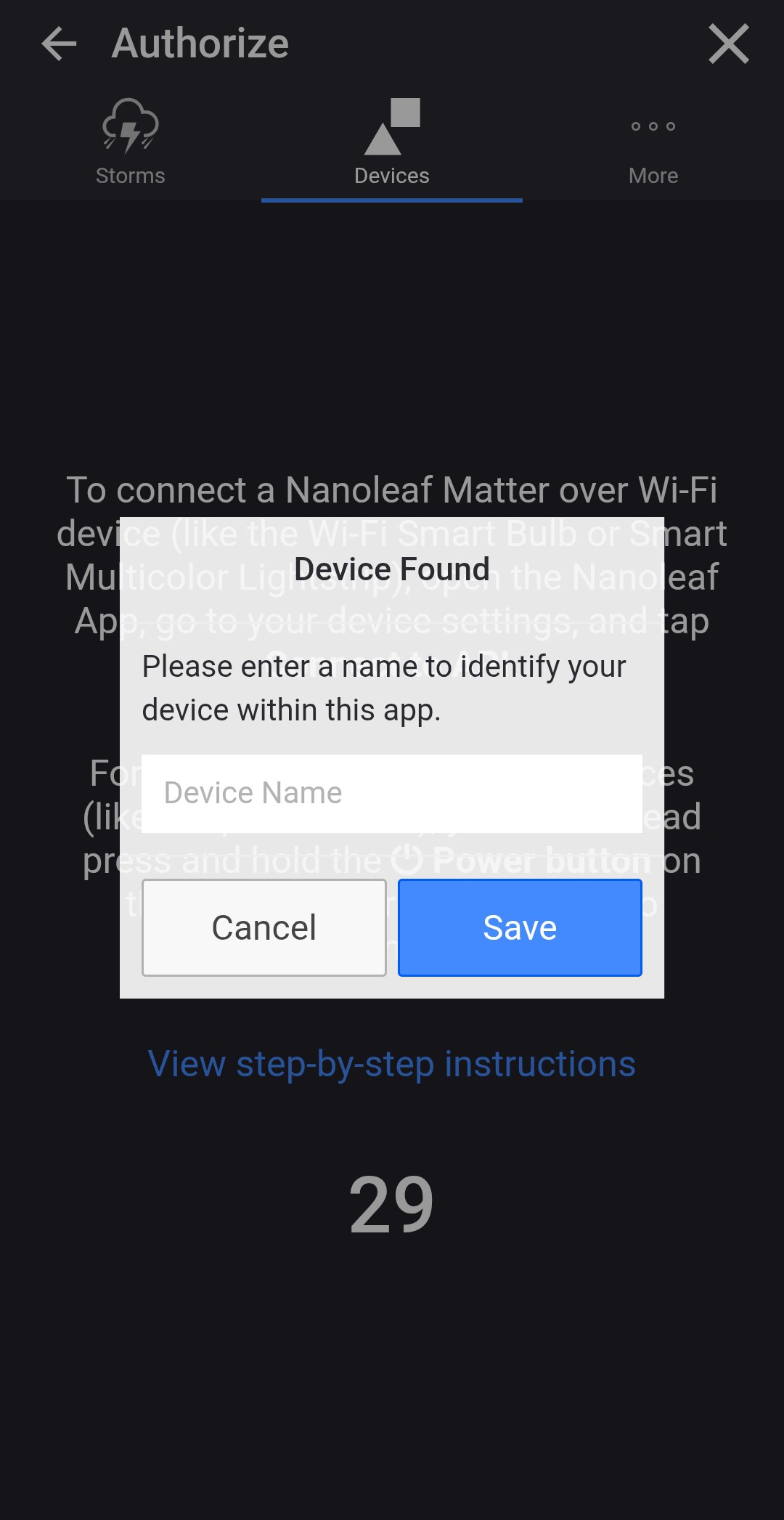 Enter a name for the discovered Nanoleaf device